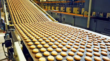 Manufacturing Cookies in Factory