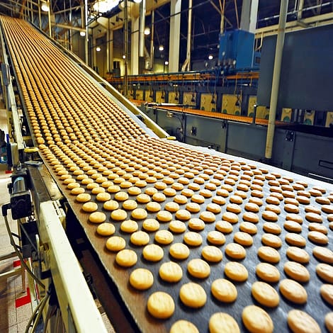 Manufacturing Cookies in Factory