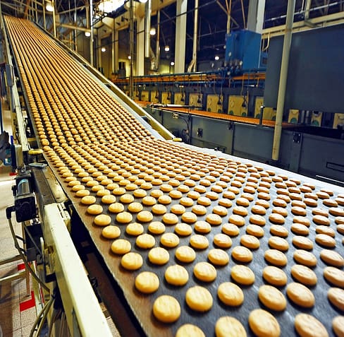 Manufacturing Cookies in Factory