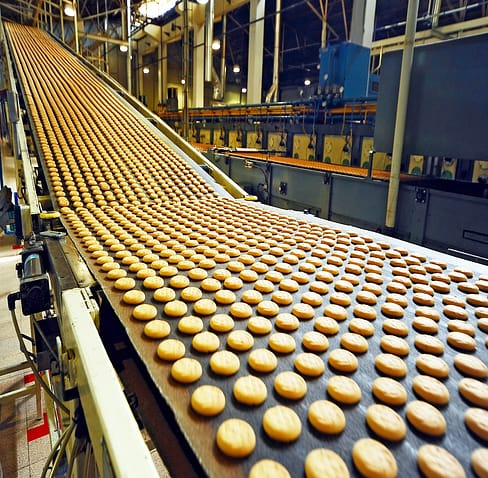 Manufacturing Cookies in Factory