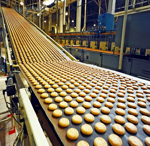 Manufacturing Cookies in Factory